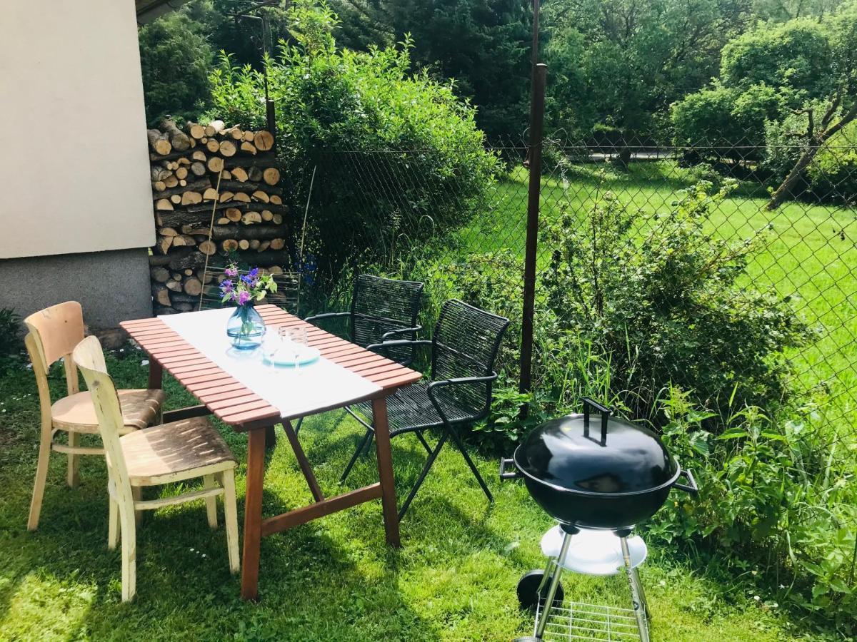 Apartman U Reky Srbsko Extérieur photo